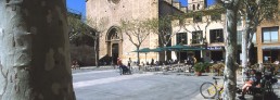 Location – Marktplatz Pollenca/Mallorca
